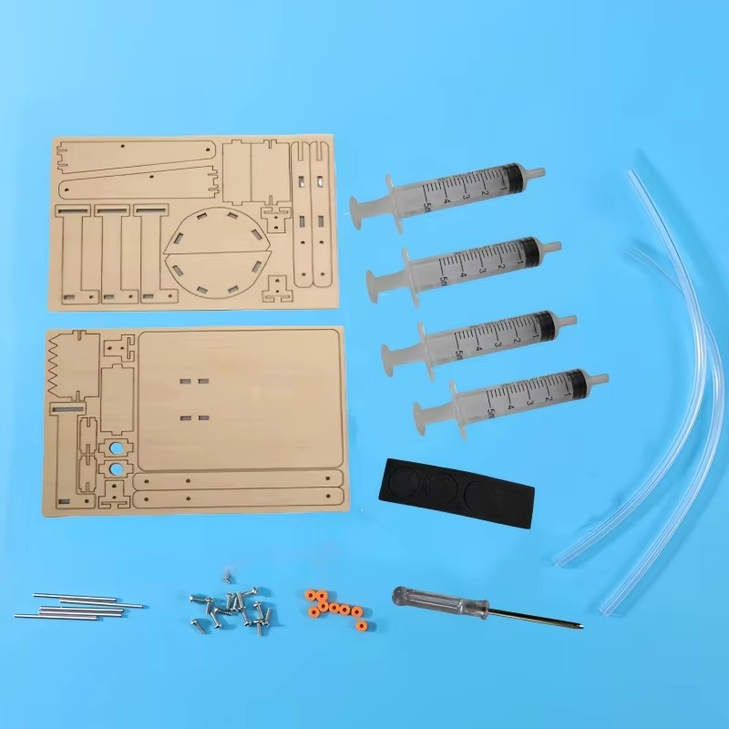 Fun STEM DIY Science Kit Woode - Science Hobby Kit 评论和价格