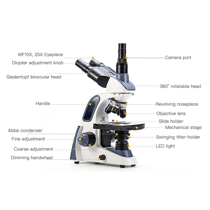 SWIFT SW380T Compound Trinocul - Microscope Compound 40X 评论和价格