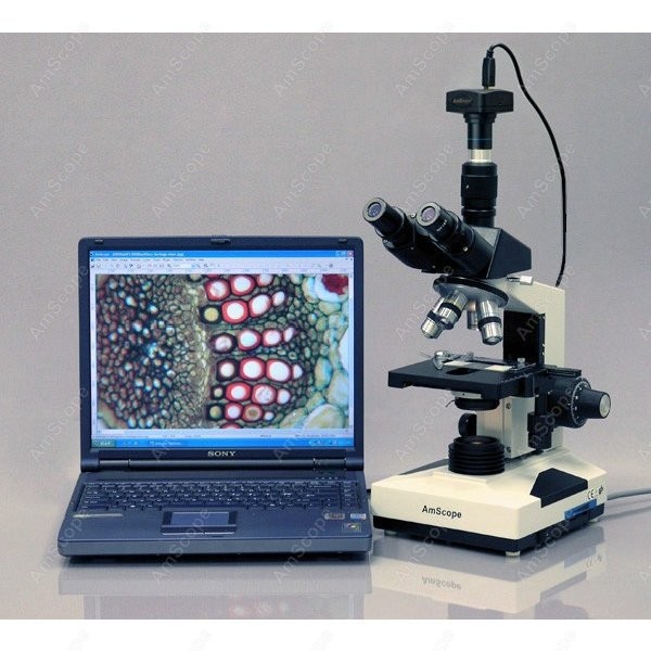 AmScope T490 Series Simul-Foca - Microscope Compound 40X 评论和价格