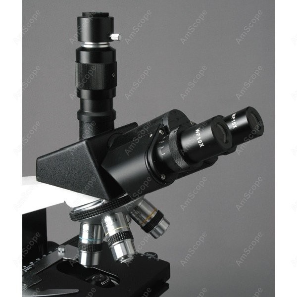 AmScope T490 Series Simul-Foca - Microscope Compound 40X 评论和价格