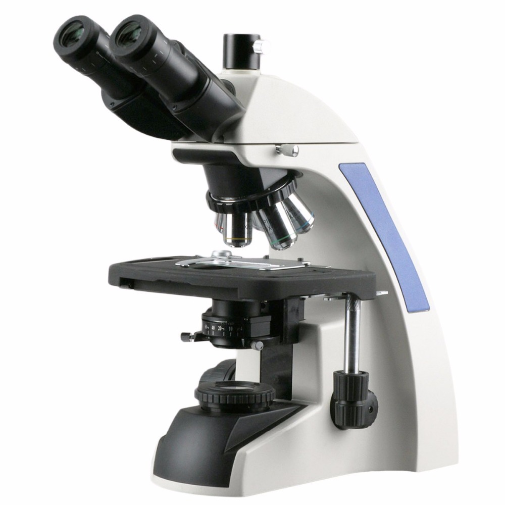 AmScope T720 Series Infinity-C - Amscope Microscope Compound 40X-1000X 评论和价格