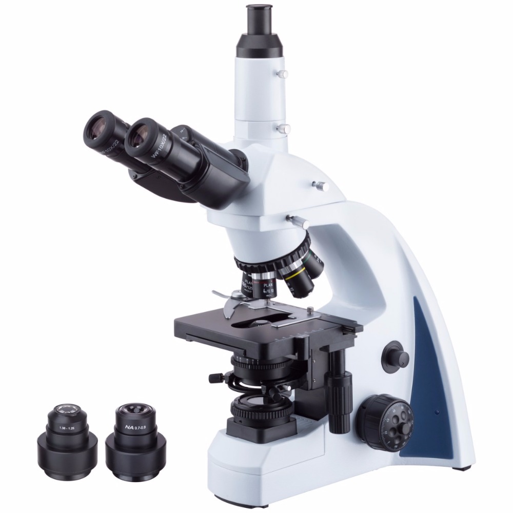 AmScope Infinity-corrected Dar - Amscope Microscope Compound 40X-1000X 评论和价格
