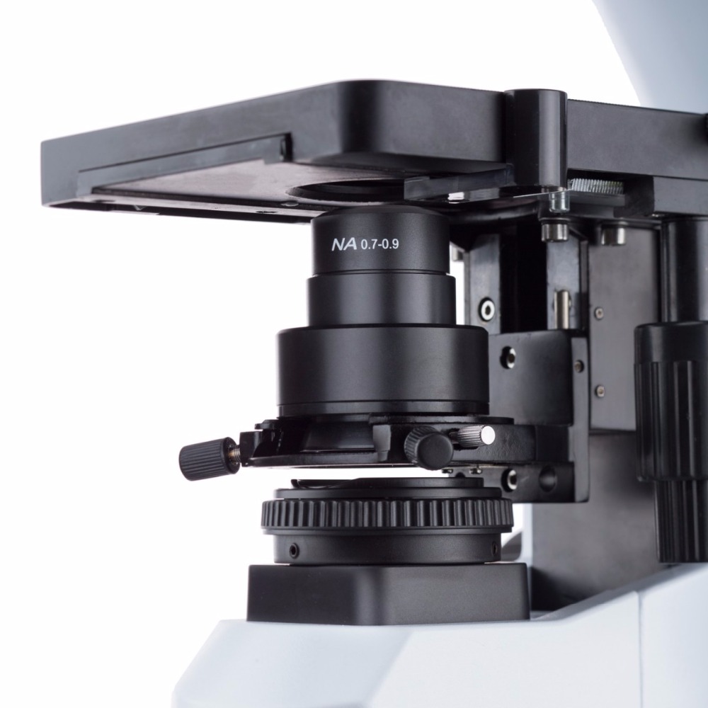 AmScope Infinity-corrected Dar - Amscope Microscope Compound 40X-1000X 评论和价格