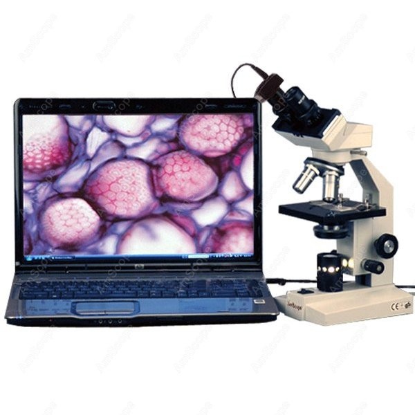 AmScope B100 Series Biological - Amscope Microscope Compound 40X-1000X 评论和价格