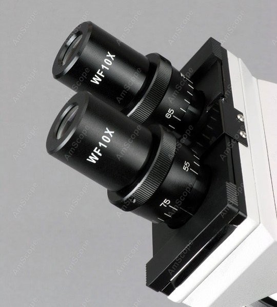 AmScope B100 Series Biological - Amscope Microscope Compound 40X-1000X 评论和价格