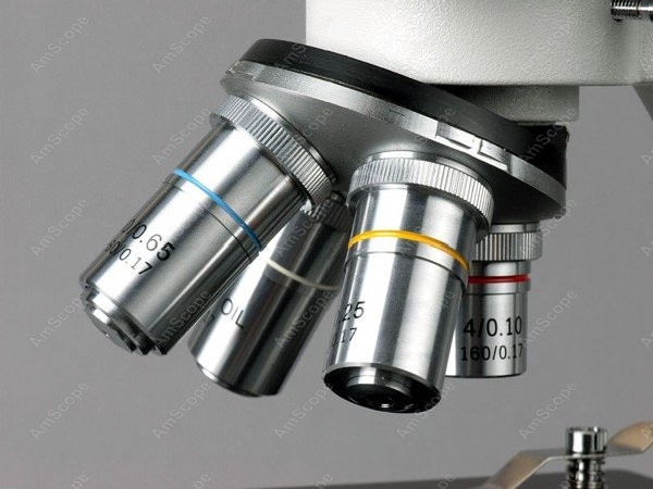 AmScope B100 Series Biological - Amscope Microscope Compound 40X-1000X 评论和价格