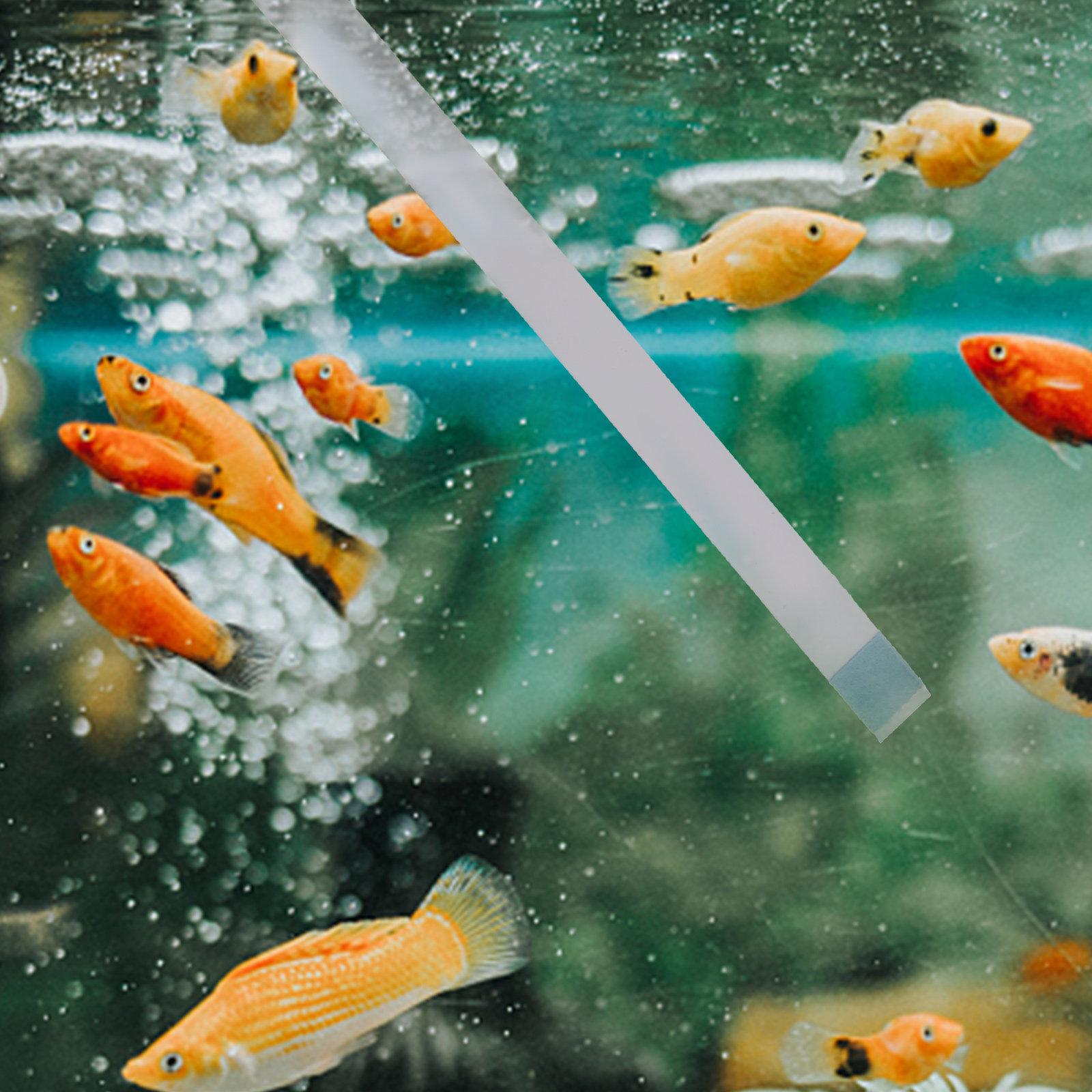 Swimming Pool Testing Strips H - Water Testing Kit 评论和价格